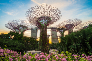Singapore Garden Tour Packages